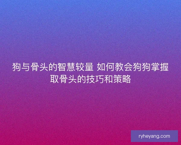 狗与骨头的智慧较量 如何教会狗狗掌握取骨头的技巧和策略